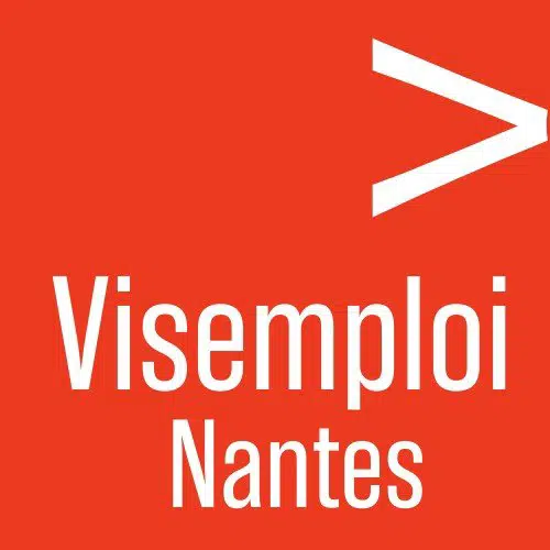 Logo de l'association Visemploi Nantes
